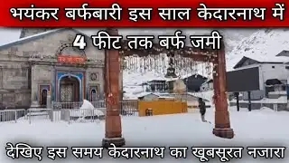 04 फरवरी केदारनाथ आज के ताजा दर्शन l kedarnath latest update today l kedarnath livevuodate today l 