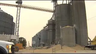 1.8 million pounds of soybeans spilled after Martinton grain bin collapse