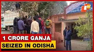 1 crore ganja hidden under cabbage load seized in Mayurbhanj; 5 held