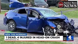 1 dead, 4 injured in head-on crash