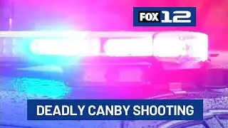1 juvenile dead, another in custody after shooting in Canby
