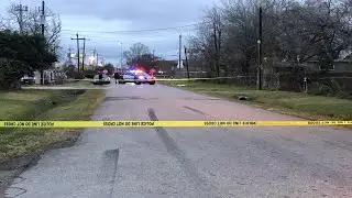 1 Killed, 1 Injured After Dog Attack
