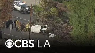 1 killed after tree falls onto car in Winnetka