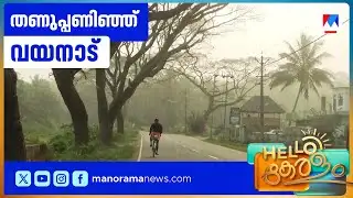 പുതുവർഷ പുലരിയിൽ മഞ്ഞ് പുതച്ച് വയനാട്; താപനില 10 ഡിഗ്രിയിൽ താഴെ ​| Wayanad