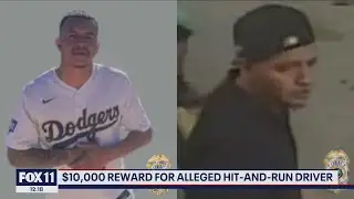$10,000 reward for alleged hit-and-run driver