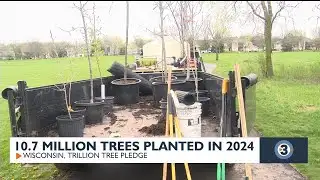 10.7 million trees planted in 2024