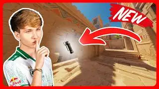 10 GODLIKE CT Flashes to DOMINATE Anubis (CS2 New Anubis Update)