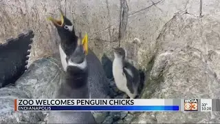 10 p.m. News Bright Spot