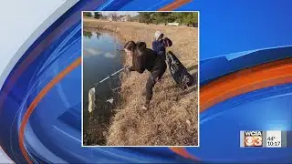 10 p.m. News Bright Spot