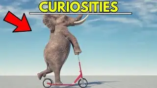 100 Interesting Facts About Animals You Should Know