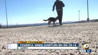 10News at 5pm - team coverage of high winds