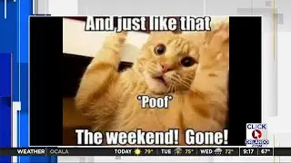 13 important things to know about the upcoming Census