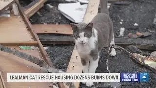 14 cats die after fire burns down Lealman animal rescue