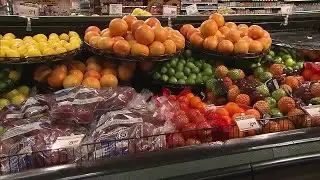 15 Dane Co. organizations receive grants to support food equity, access