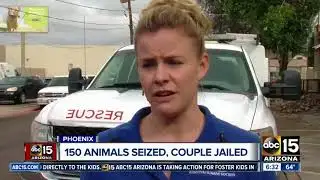 150 animals seized, couple jailed after animal hoarding bust