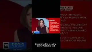 16 Dead in NYC - Garbage Piling Up - Where