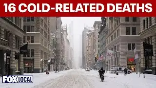 16 people die from cold in New York City