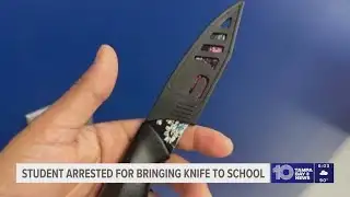 16-year-old arrested after bringing knife to school in Hillsborough County