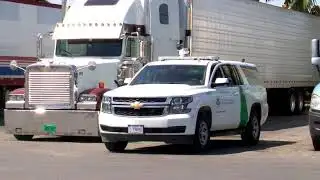 17 Undocumented immigrants found