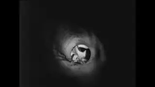 1968 - YEAR OF CHANGE