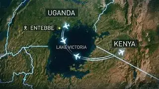 1976: Black Ops, Operation Thunderbolt