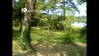 1983 Portsmouth Park Manor Rezoning WAVY Archive