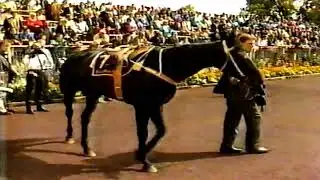 1988 MVRC MOONEE VALLEY W S Cox Plate Day News Reports