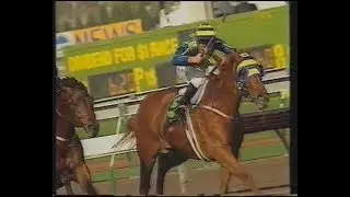 1997 MRC Caulfield Cup Favourite Marble Halls