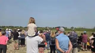 2 bald eagles released back into the wild after rehabilitation
