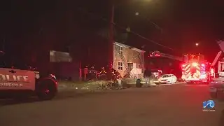 2 cats, rabbit die in Norfolk apartment fire