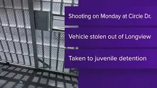 2 children arrested after Gilmer home hit with gunfire, police chase in stolen car