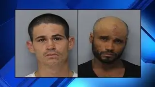 2 face charges of grand theft auto