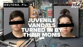 2 Florida boys arrested after $50K school vandalism, their moms turn them in