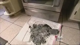 2 Investigators: Glass Oven Doors Shattering Without Warning