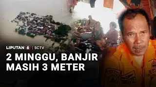 2 Minggu, Banjir Masih 3 Meter | Liputan 6