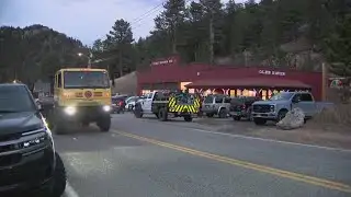 2 mountain lions euthanized after a suspected deadly attack near Glen Haven