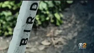 2 On Your Side: Who Pays In E-Scooter Accident?