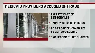2 Upstate Medicaid providers charged with fraud