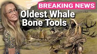 20,000 Year Old Whale Bone Tools Discovered!