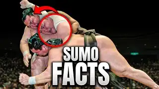 20 Interesting FACTS That No SUMO Fan Knows!