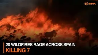 20 wildfires rage across Spain, killing 7 ⏩