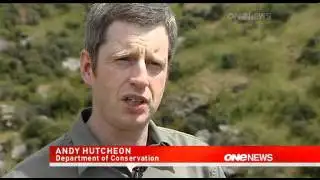 2012-01-03 - ONE NEWS - LOCALS FIGHT TO SAVE ENDANGERED SKINKS