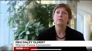 2012-12-29 Could dogs help heal trauma stress? | BBC