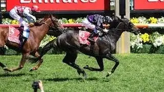 2013 Melbourne Cup _ Fiorente _ ( Set To Music )