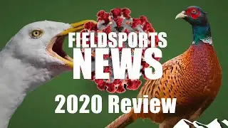 2020 Fieldsports News review