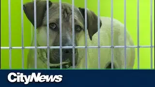 2023 an overwhelming year for Alberta