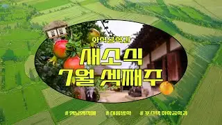 2025 PCE Weekly News (7월 3주차)