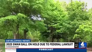 2025 Swan Ball on hold due to federal lawsuit