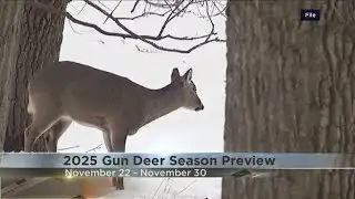 2025 Wisconsin Gun Deer Season Preview