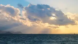 2025 — Year in Search